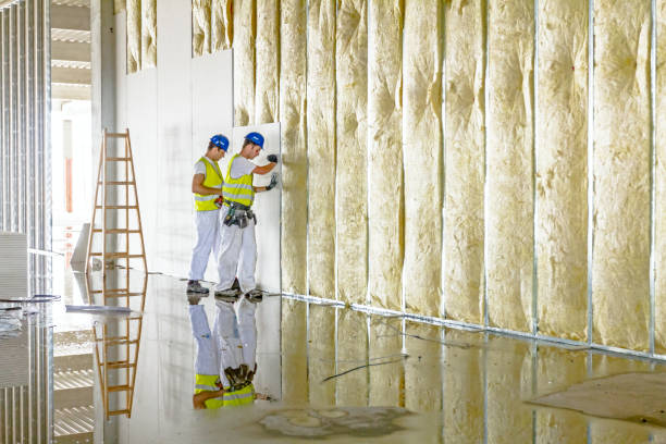 Insulation Repair Services in Clermont, FL